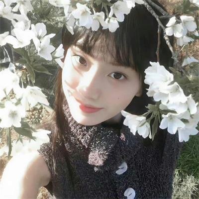 梅花档案